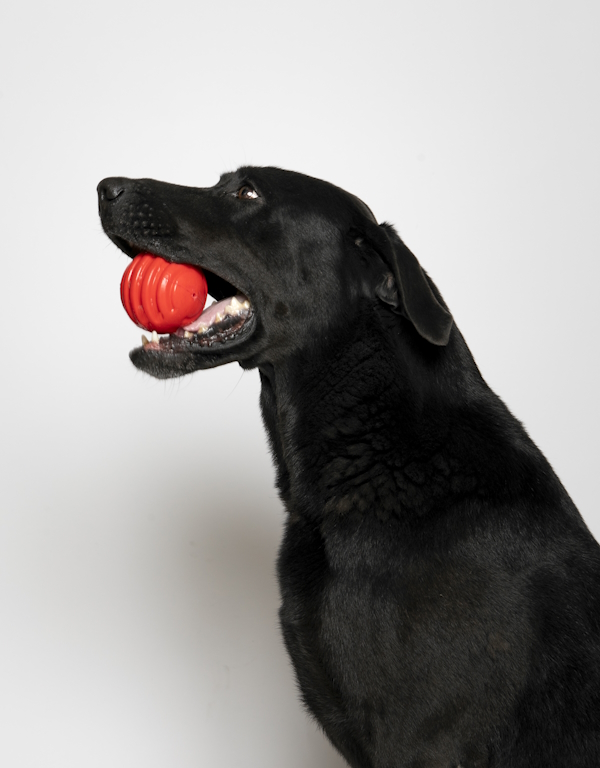 Lorem ipsum dolor sit